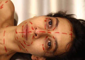 Regina Jose Galindo, Lessons of Dissection, 2011