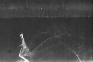 Etienne-Jules Marey, College of France Archive Etienne-Jules Marey, College of France Archive