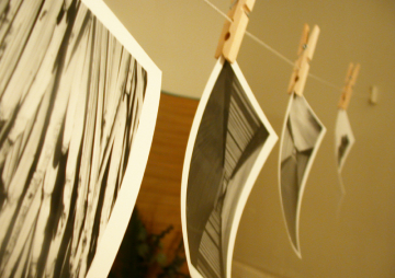Photograms and photography project Photograms and photography project