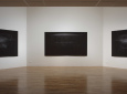 Susan Morris installation. Photograph by Stephen White