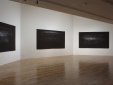 Susan Morris installation. Photograph by Stephen White