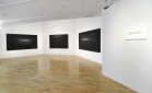 Susan Morris installation. Photograph by Doug Atfield